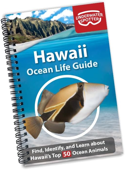 Hawaii's Fishes : A Guide for Snorkelers and Divers: John P